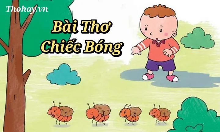 Phân Tích Ý Nghĩa Sâu Sắc Hình Ảnh Chiếc Bóng (biểu Tượng) Trong Chuyện Người Con Gái Nam Xương Cho Học Sinh Lớp 9