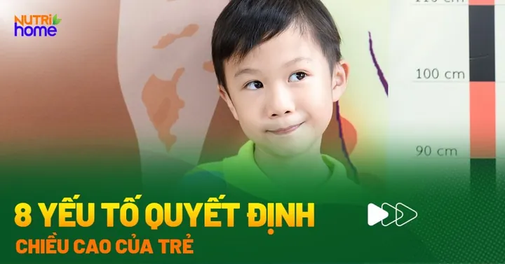 Tải Hình Ảnh Chiều Cao Gồm Vector, Png, Psd Thiết Kế Và Biểu Đồ Chuẩn Cho Designer, Phụ Huynh Tải Hình Ảnh Chiều Cao Gồm Vector, Png, Psd Thiết Kế Và Biểu Đồ Chuẩn Cho Designer, Phụ Huynh