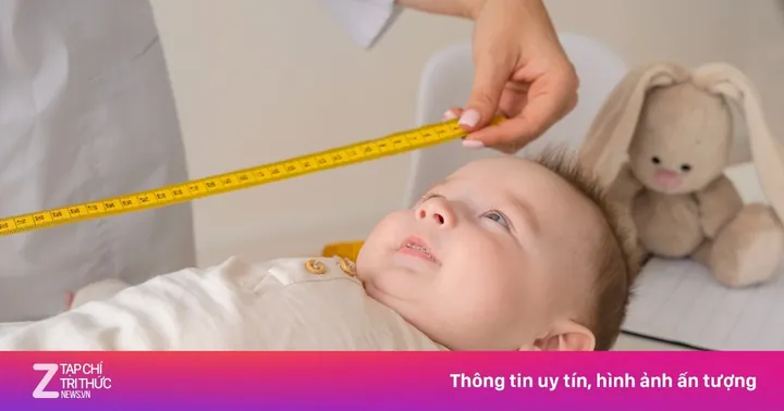 Tải Hình Ảnh Chiều Cao Gồm Vector, Png, Psd Thiết Kế Và Biểu Đồ Chuẩn Cho Designer, Phụ Huynh Tải Hình Ảnh Chiều Cao Gồm Vector, Png, Psd Thiết Kế Và Biểu Đồ Chuẩn Cho Designer, Phụ Huynh