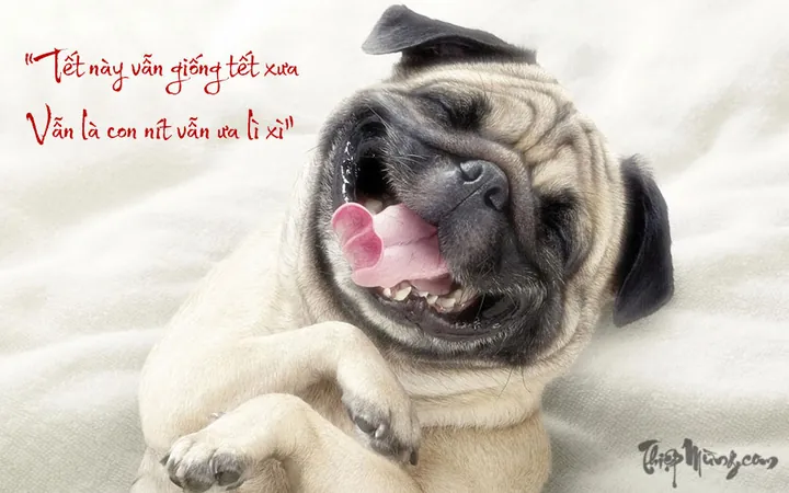 Tổng Hợp Hình Ảnh Chó Chế Thư Giãn Cười Sảng Khoái Cho Cộng Đồng Mạng Cùng Các Biến Thể Meme Cheems, Shiba Tổng Hợp Hình Ảnh Chó Chế Thư Giãn Cười Sảng Khoái Cho Cộng Đồng Mạng Cùng Các Biến Thể Meme Cheems, Shiba