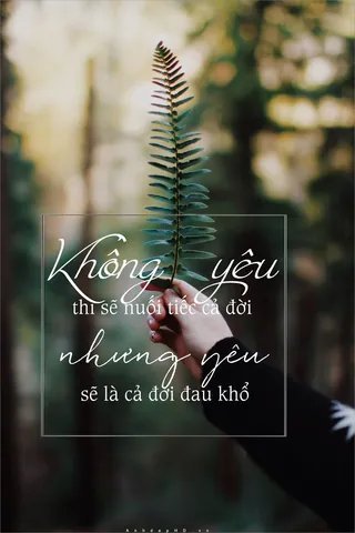 Tổng Hợp Bộ Sưu Tập Hình Ảnh Chữ Buồn Dành Cho Người Muốn Đăng Status Tâm Trạng Kèm Ảnh Status Buồn