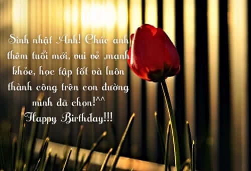 90+ Hình Ảnh Chúc Mừng Sinh Nhật Bạn Trai Độc Đáo & Dễ Thương – Dành Cho Các Cặp Đôi Yêu Thương 90+ Hình Ảnh Chúc Mừng Sinh Nhật Bạn Trai Độc Đáo & Dễ Thương – Dành Cho Các Cặp Đôi Yêu Thương