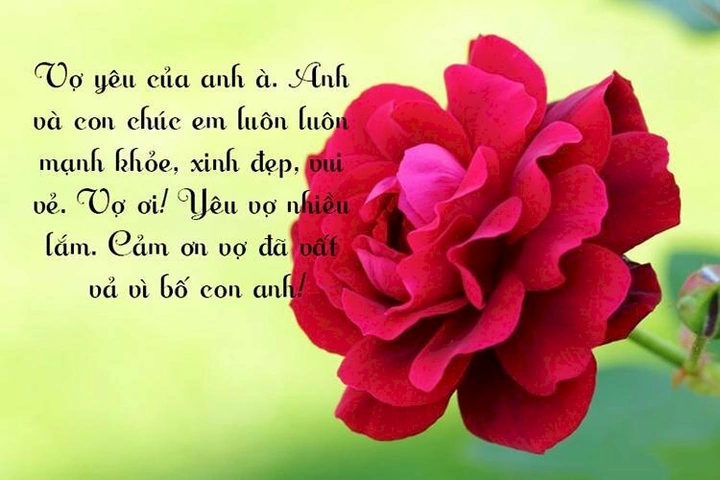 Tải Ngay Bộ Sưu Tập Hình Ảnh Chúc Mừng Sinh Nhật Vợ Yêu – Đẹp, Lãng Mạn Dành Cho Các Ông Chồng Tải Ngay Bộ Sưu Tập Hình Ảnh Chúc Mừng Sinh Nhật Vợ Yêu – Đẹp, Lãng Mạn Dành Cho Các Ông Chồng