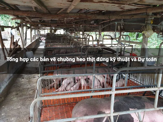Tổng Hợp Xem Và Tham Khảo Hình Ảnh Chuồng Heo Cùng Các Kiểu Thiết Kế Dành Cho Người Chăn Nuôi