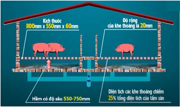 Tổng Hợp Xem Và Tham Khảo Hình Ảnh Chuồng Heo Cùng Các Kiểu Thiết Kế Dành Cho Người Chăn Nuôi