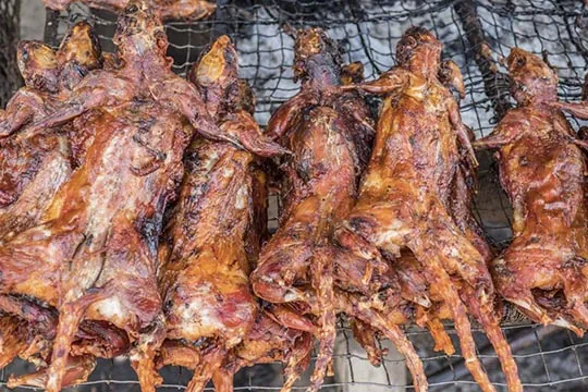 Khám Phá Hình Ảnh Chuột Nướng Đặc Sản Miền Tây Cho Thực Khách Tò Mò: Từ Chuột Đồng Nướng Lu Đến Chuột Nướng Mật Ong Khám Phá Hình Ảnh Chuột Nướng Đặc Sản Miền Tây Cho Thực Khách Tò Mò: Từ Chuột Đồng Nướng Lu Đến Chuột Nướng Mật Ong