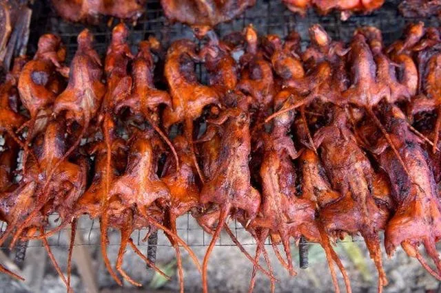 Khám Phá Hình Ảnh Chuột Nướng Đặc Sản Miền Tây Cho Thực Khách Tò Mò: Từ Chuột Đồng Nướng Lu Đến Chuột Nướng Mật Ong Khám Phá Hình Ảnh Chuột Nướng Đặc Sản Miền Tây Cho Thực Khách Tò Mò: Từ Chuột Đồng Nướng Lu Đến Chuột Nướng Mật Ong