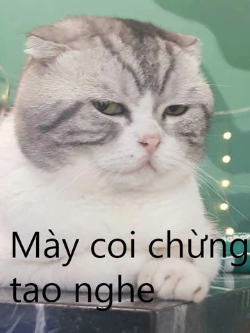 Hướng Dẫn Chi Tiết Cách Tạo Và Sử Dụng Hình Ảnh Cmt Để Tăng Tương Tác Trên Mạng Xã Hội (dành Cho Marketers & Người Dùng Thông Thái)