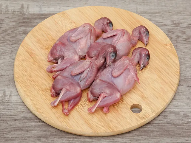 Tải Xuống Hình Ảnh Con Cút Miễn Phí, Đẹp Cho Nhà Thiết Kế Từ Chim Cút Đến Cun Cút Nhỏ Tải Xuống Hình Ảnh Con Cút Miễn Phí, Đẹp Cho Nhà Thiết Kế Từ Chim Cút Đến Cun Cút Nhỏ