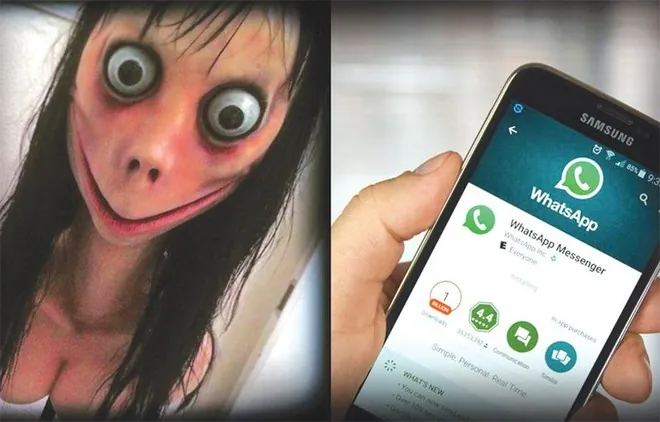 Tìm Hiểu Hình Ảnh Con Momo Quái Vật Và Nguồn Gốc Dành Cho Phụ Huynh (antonym: Chú Chó Momo) Tìm Hiểu Hình Ảnh Con Momo Quái Vật Và Nguồn Gốc Dành Cho Phụ Huynh (antonym: Chú Chó Momo)