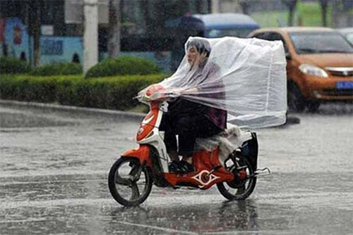 Hình Ảnh Công An Giao Thông Hài Hước: Bộ Sưu Tập, Ý Nghĩa & Cách Tận Dụng Cho Người Yêu Thích Meme Hình Ảnh Công An Giao Thông Hài Hước: Bộ Sưu Tập, Ý Nghĩa & Cách Tận Dụng Cho Người Yêu Thích Meme