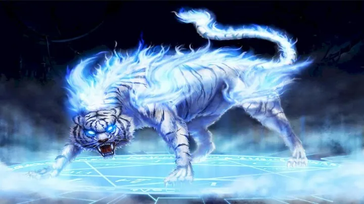 Tải Xuống Bộ Sưu Tập Hình Ảnh Cọp Trắng (hổ Trắng) Đẹp Miễn Phí Cho Người Yêu Động Vật