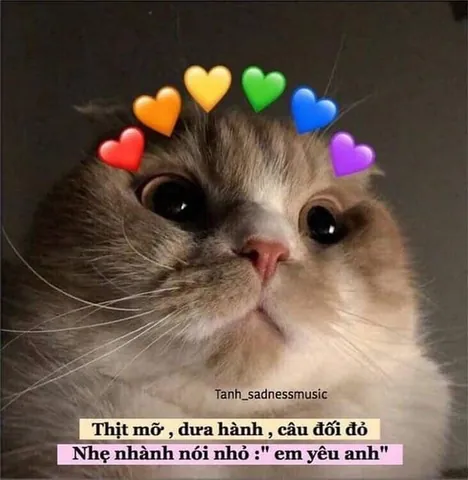 Tổng Hợp Hình Ảnh Crush Cute (ảnh Thả Thính, Meme Tỏ Tình) Dành Cho Bạn