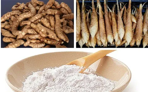 Xem Hình Ảnh Củ Dong (khoai Riềng) Và Đặc Điểm Nhận Biết Các Loài Dong Riềng Đỏ, Trắng Cho Người Nội Trợ