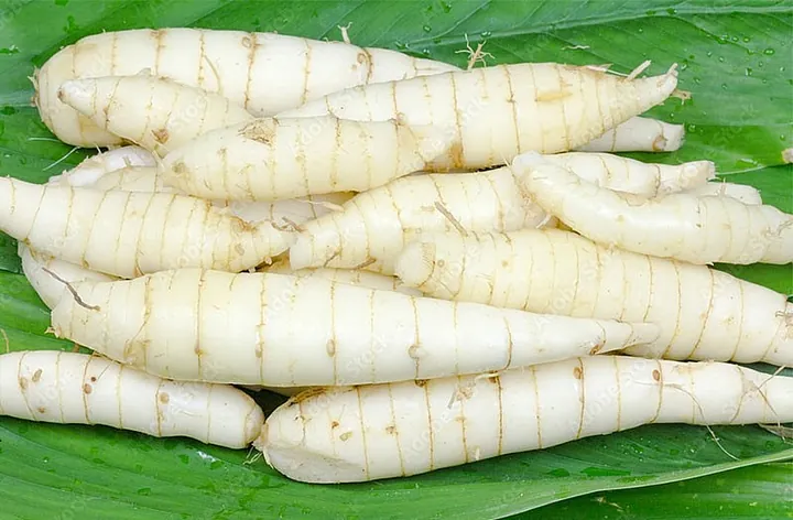 Xem Hình Ảnh Củ Dong (khoai Riềng) Và Đặc Điểm Nhận Biết Các Loài Dong Riềng Đỏ, Trắng Cho Người Nội Trợ