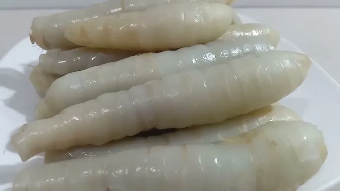 Xem Hình Ảnh Củ Dong (khoai Riềng) Và Đặc Điểm Nhận Biết Các Loài Dong Riềng Đỏ, Trắng Cho Người Nội Trợ