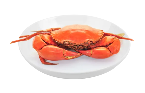 Tổng Hợp Hình Ảnh Và Cách Làm Cua Hấp Tại Nhà (cua Hấp Bia, Sả) Tổng Hợp Hình Ảnh Và Cách Làm Cua Hấp Tại Nhà (cua Hấp Bia, Sả)