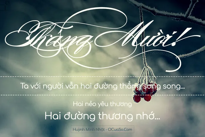 Chiêm Ngưỡng Bộ Sưu Tập Hình Ảnh Cuối Thu Đẹp Dành Cho Người Yêu Nghệ Thuật: Những Khoảnh Khắc Giao Mùa Hà Nội Lãng Mạn Chiêm Ngưỡng Bộ Sưu Tập Hình Ảnh Cuối Thu Đẹp Dành Cho Người Yêu Nghệ Thuật: Những Khoảnh Khắc Giao Mùa Hà Nội Lãng Mạn