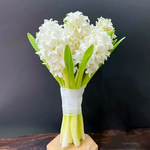 Khám Phá Hình Ảnh Và Đặc Điểm Hoa Dạ Hương (dạ Lý Hương) Dành Cho Người Yêu Hoa
