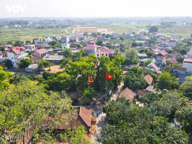 Khám Phá Hình Ảnh Và Đặc Điểm Hoa Dạ Hương (dạ Lý Hương) Dành Cho Người Yêu Hoa