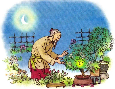 Khám Phá Hình Ảnh Và Đặc Điểm Hoa Dạ Hương (dạ Lý Hương) Dành Cho Người Yêu Hoa