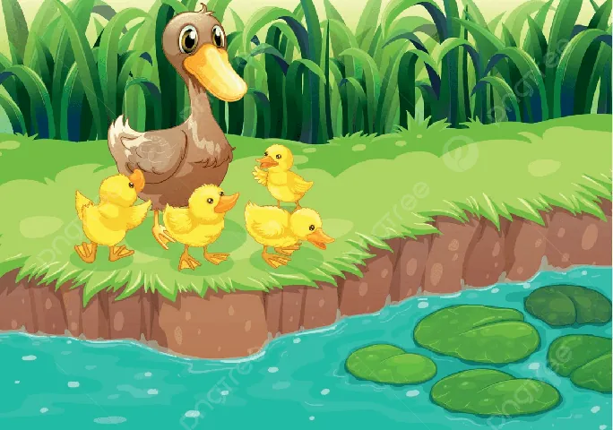 Tải Về Hình Ảnh Đàn Vịt Đẹp, Miễn Phí Cho Thiết Kế Và Wallpaper Của Bạn Tải Về Hình Ảnh Đàn Vịt Đẹp, Miễn Phí Cho Thiết Kế Và Wallpaper Của Bạn