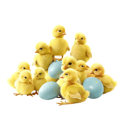 Tải Về Hình Ảnh Đàn Vịt Đẹp, Miễn Phí Cho Thiết Kế Và Wallpaper Của Bạn Tải Về Hình Ảnh Đàn Vịt Đẹp, Miễn Phí Cho Thiết Kế Và Wallpaper Của Bạn