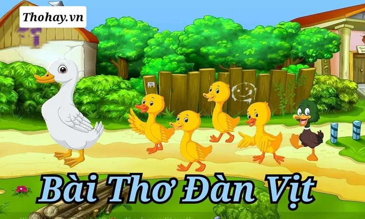 Tải Về Hình Ảnh Đàn Vịt Đẹp, Miễn Phí Cho Thiết Kế Và Wallpaper Của Bạn Tải Về Hình Ảnh Đàn Vịt Đẹp, Miễn Phí Cho Thiết Kế Và Wallpaper Của Bạn