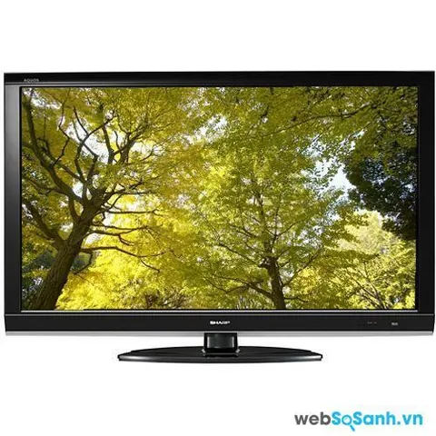 Xem Hình Ảnh Đập Tivi: Tổng Hợp Khoảnh Khắc Báo Hại Màn Hình Tv Của Fan Và Trẻ Nhỏ Xem Hình Ảnh Đập Tivi: Tổng Hợp Khoảnh Khắc Báo Hại Màn Hình Tv Của Fan Và Trẻ Nhỏ