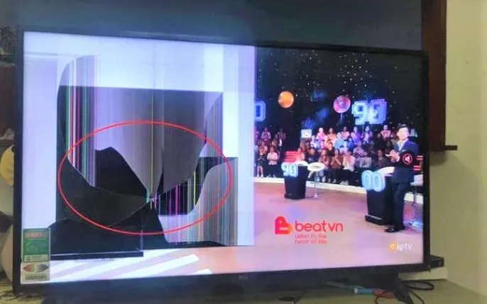 Xem Hình Ảnh Đập Tivi: Tổng Hợp Khoảnh Khắc Báo Hại Màn Hình Tv Của Fan Và Trẻ Nhỏ Xem Hình Ảnh Đập Tivi: Tổng Hợp Khoảnh Khắc Báo Hại Màn Hình Tv Của Fan Và Trẻ Nhỏ