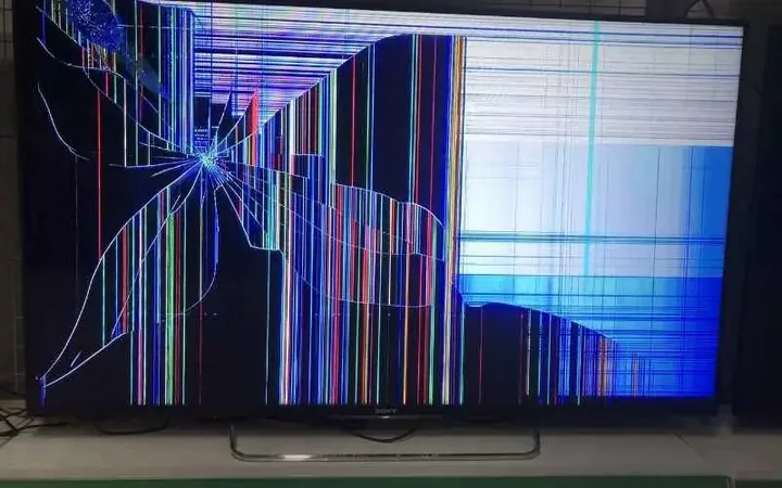 Xem Hình Ảnh Đập Tivi: Tổng Hợp Khoảnh Khắc Báo Hại Màn Hình Tv Của Fan Và Trẻ Nhỏ Xem Hình Ảnh Đập Tivi: Tổng Hợp Khoảnh Khắc Báo Hại Màn Hình Tv Của Fan Và Trẻ Nhỏ
