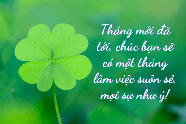 Tải 100+ Hình Ảnh Đẹp Chúc Mùng 1 Đầu Tháng May Mắn Cho Bạn Và Người Thân (hướng Dẫn Chi Tiết Cho Mọi Đối Tượng) Tải 100+ Hình Ảnh Đẹp Chúc Mùng 1 Đầu Tháng May Mắn Cho Bạn Và Người Thân (hướng Dẫn Chi Tiết Cho Mọi Đối Tượng)