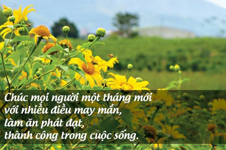 Tải 100+ Hình Ảnh Đẹp Chúc Mùng 1 Đầu Tháng May Mắn Cho Bạn Và Người Thân (hướng Dẫn Chi Tiết Cho Mọi Đối Tượng) Tải 100+ Hình Ảnh Đẹp Chúc Mùng 1 Đầu Tháng May Mắn Cho Bạn Và Người Thân (hướng Dẫn Chi Tiết Cho Mọi Đối Tượng)
