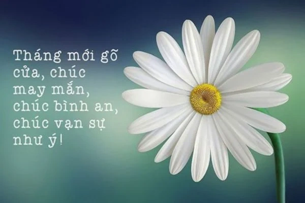 Tải 100+ Hình Ảnh Đẹp Chúc Mùng 1 Đầu Tháng May Mắn Cho Bạn Và Người Thân (hướng Dẫn Chi Tiết Cho Mọi Đối Tượng) Tải 100+ Hình Ảnh Đẹp Chúc Mùng 1 Đầu Tháng May Mắn Cho Bạn Và Người Thân (hướng Dẫn Chi Tiết Cho Mọi Đối Tượng)