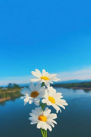 Tải Và Tạo Bộ Sưu Tập “hình Ảnh Đẹp Để Làm Hình Nền” Siêu Đỉnh Cho Máy Tính & Điện Thoại (dành Cho Người Yêu Thiết Kế)