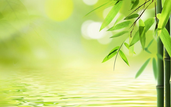 Tải Và Tạo Bộ Sưu Tập “hình Ảnh Đẹp Để Làm Hình Nền” Siêu Đỉnh Cho Máy Tính & Điện Thoại (dành Cho Người Yêu Thiết Kế)