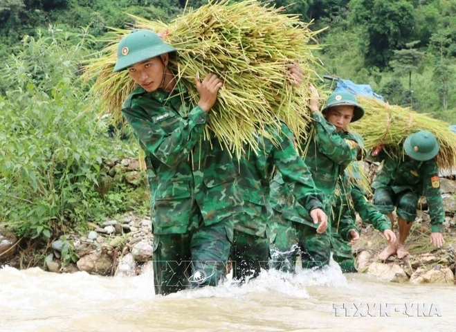 Bộ Sưu Tập Hình Ảnh Đẹp Về Bộ Đội Biên Phòng: Tài Liệu Tham Khảo Cho Người Yêu Lịch Sử Và Nhiếp Ảnh