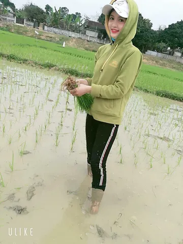 Tải Và Sử Dụng Hình Ảnh Đi Cày (trâu Cày, Người Nông Dân Cày Ruộng) Cho Designer Việt Nam Tải Và Sử Dụng Hình Ảnh Đi Cày (trâu Cày, Người Nông Dân Cày Ruộng) Cho Designer Việt Nam