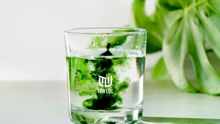 Tải Hình Ảnh Diệp Lục (chlorophyll) Ý Nghĩa Sinh Học Cho Nhà Thiết Kế