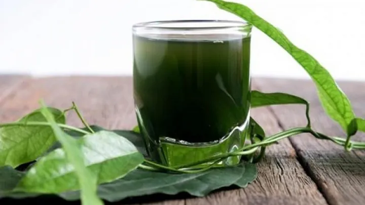 Tải Hình Ảnh Diệp Lục (chlorophyll) Ý Nghĩa Sinh Học Cho Nhà Thiết Kế