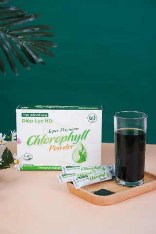 Tải Hình Ảnh Diệp Lục (chlorophyll) Ý Nghĩa Sinh Học Cho Nhà Thiết Kế
