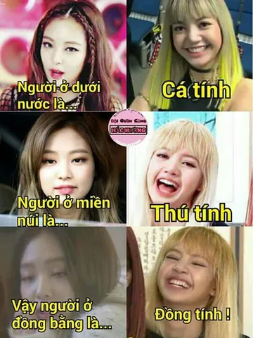 Tổng Hợp Hình Ảnh Dìm Blackpink Hài Hước Cho Fan Kpop: Meme Và Ảnh Bựa Cả Nhóm