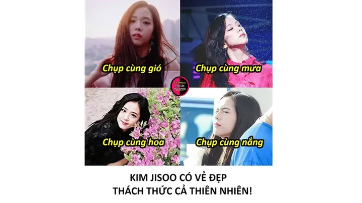 Tổng Hợp Hình Ảnh Dìm Blackpink Hài Hước Cho Fan Kpop: Meme Và Ảnh Bựa Cả Nhóm
