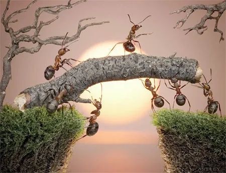 Khám Phá Tổng Hợp Hình Ảnh Độc, Độc Lạ Và Bá Đạo Cho Dân Mạng Yêu Thích Ảnh Chế, Meme Khám Phá Tổng Hợp Hình Ảnh Độc, Độc Lạ Và Bá Đạo Cho Dân Mạng Yêu Thích Ảnh Chế, Meme