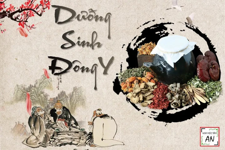 Tải Hình Ảnh Đông Y Miễn Phí: Tổng Hợp Ảnh, Vector Và Logo Y Học Cổ Truyền Cho Nhà Thiết Kế Tải Hình Ảnh Đông Y Miễn Phí: Tổng Hợp Ảnh, Vector Và Logo Y Học Cổ Truyền Cho Nhà Thiết Kế