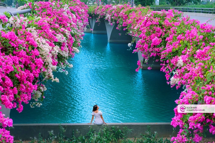 Tải Ngay Hình Ảnh Ecopark: Bộ Sưu Tập Đầy Đủ Các Góc Cảnh Xanh, Kiến Trúc & Hoạt Động Cho Người Yêu Thiên Nhiên (2026) Tải Ngay Hình Ảnh Ecopark: Bộ Sưu Tập Đầy Đủ Các Góc Cảnh Xanh, Kiến Trúc & Hoạt Động Cho Người Yêu Thiên Nhiên (2026)