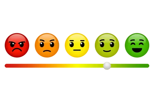 Tải Miễn Phí Hình Ảnh Feedback & Hướng Dẫn Tạo, Sử Dụng Cho Doanh Nghiệp