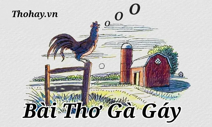 Tải Xuống Hình Ảnh Gà Gáy Miễn Phí Cho Nhà Thiết Kế Kèm Hình Nền Gà Trống Tải Xuống Hình Ảnh Gà Gáy Miễn Phí Cho Nhà Thiết Kế Kèm Hình Nền Gà Trống
