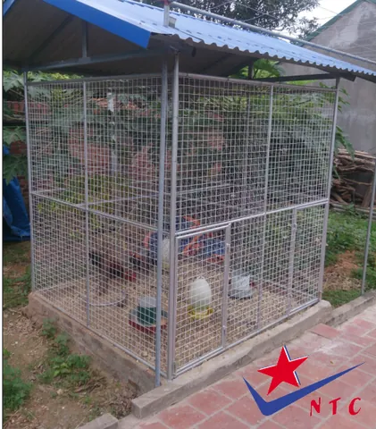 Chiêm Ngưỡng Hình Ảnh Gà Rừng Đẹp Và Cách Nhận Biết Các Loài Cho Người Yêu Thiên Nhiên Chiêm Ngưỡng Hình Ảnh Gà Rừng Đẹp Và Cách Nhận Biết Các Loài Cho Người Yêu Thiên Nhiên