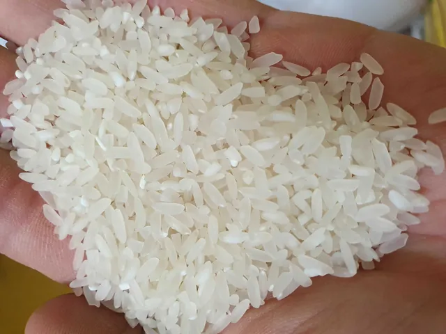 Chiêm Ngưỡng Hình Ảnh Gạo Quê Mộc Mạc: Tổng Hợp Vẻ Đẹp Hoa Mộc Miên Cho Người Yêu Làng Quê Chiêm Ngưỡng Hình Ảnh Gạo Quê Mộc Mạc: Tổng Hợp Vẻ Đẹp Hoa Mộc Miên Cho Người Yêu Làng Quê